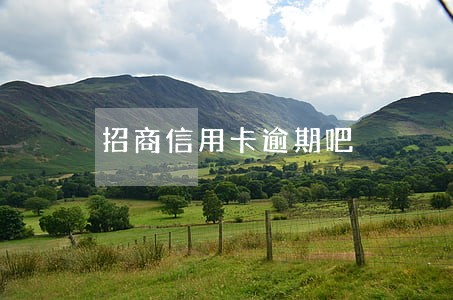招商信用卡逾期吧 招商信用卡逾期吧