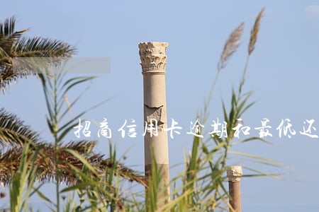 招商信用卡逾期和最低还款 招商信用卡逾期和最低还款