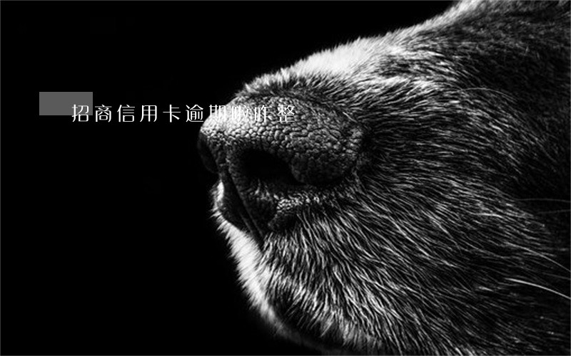 招商信用卡逾期啦咋整 招商信用卡逾期啦咋整