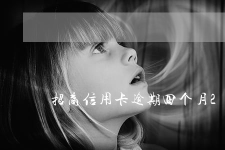 招商信用卡逾期四个月2万