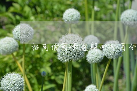招商信用卡逾期四个月分三期偿还 招商信用卡逾期四个月分三期偿还