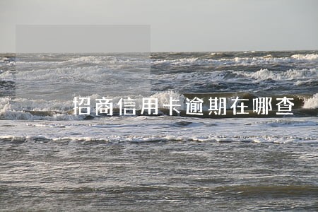 招商信用卡逾期在哪查 招商信用卡逾期在哪查