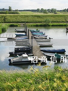 招商信用卡逾期多久上数字库 招商信用卡逾期多久上数字库