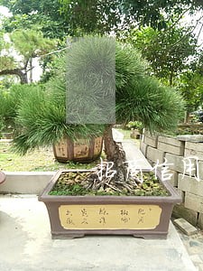 招商信用卡逾期多久会影响征信 招商信用卡逾期多久会影响征信