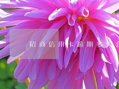 招商信用卡逾期多久会成失信人 招商信用卡逾期多久会成失信人