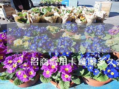 招商信用卡逾期多久会打单位