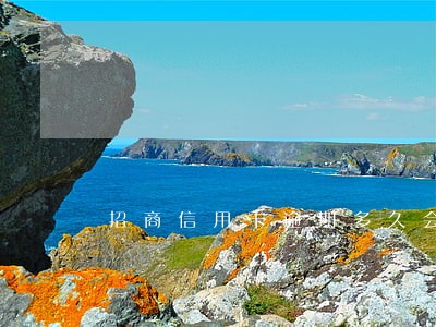招商信用卡逾期多久会打电话催 招商信用卡逾期多久会打电话催