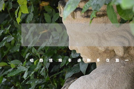 招商信用卡逾期多久发一次邮件 招商信用卡逾期多久发一次邮件