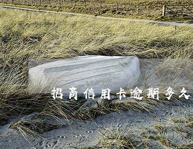 招商信用卡逾期多久才能再办