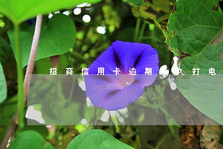 招商信用卡逾期多久打电话给我 招商信用卡逾期多久打电话给我