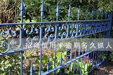 招商信用卡逾期多久抓人 招商信用卡逾期多久抓人