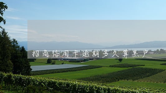 招商信用卡逾期多久算黑户 招商信用卡逾期多久算黑户