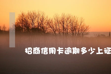 招商信用卡逾期多少上征信