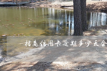 招商信用卡逾期多少天会冻结 招商信用卡逾期多少天会冻结