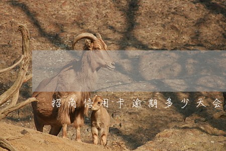 招商信用卡逾期多少天会打电话