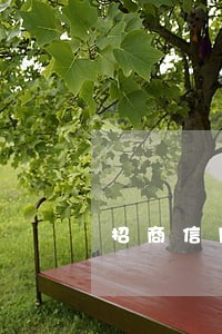 招商信用卡逾期多少天会有罚款 招商信用卡逾期多少天会有罚款