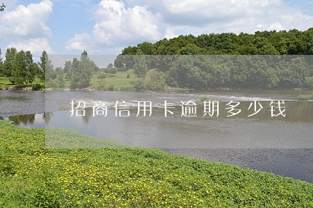 招商信用卡逾期多少钱 招商信用卡逾期多少钱