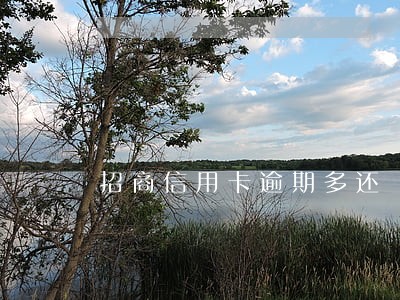 招商信用卡逾期多还 招商信用卡逾期多还