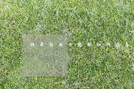 招商信用卡逾期如何恢复 招商信用卡逾期如何恢复