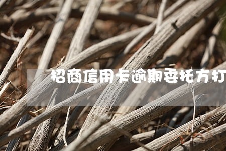 招商信用卡逾期委托方打电话 招商信用卡逾期委托方打电话