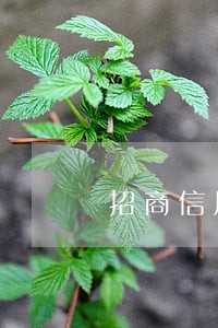 招商信用卡逾期客服个性化分期 招商信用卡逾期客服个性化分期
