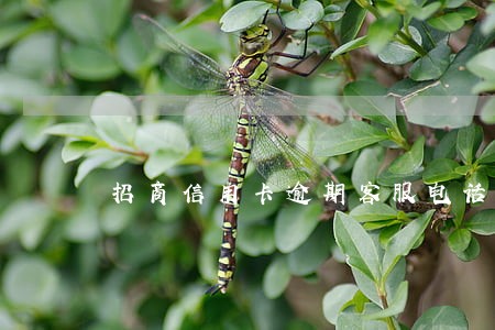 招商信用卡逾期客服电话 招商信用卡逾期客服电话
