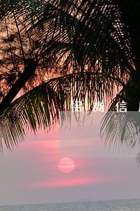 招商信用卡逾期寄信函
