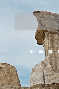 招商信用卡逾期寄来催缴函 招商信用卡逾期寄来催缴函