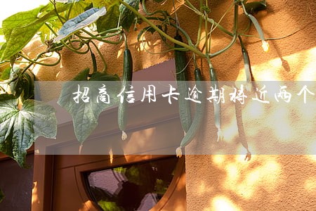 招商信用卡逾期将近两个月 招商信用卡逾期将近两个月