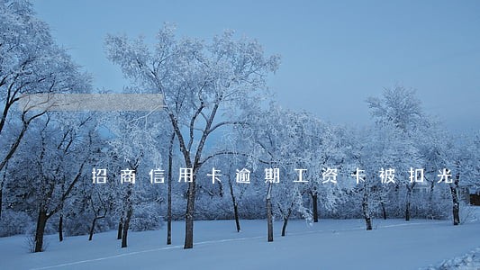 招商信用卡逾期工资卡被扣光 招商信用卡逾期工资卡被扣光