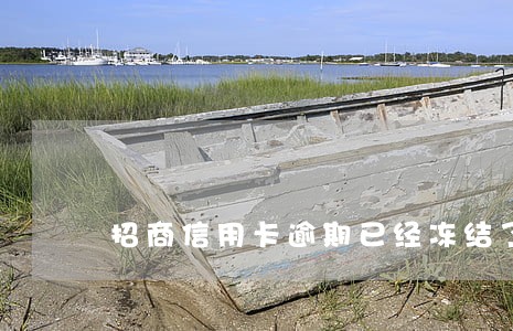 招商信用卡逾期已经冻结了 招商信用卡逾期已经冻结了
