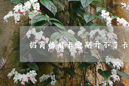招商信用卡逾期开不了卡 招商信用卡逾期开不了卡