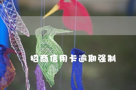 招商信用卡逾期强制 招商信用卡逾期强制