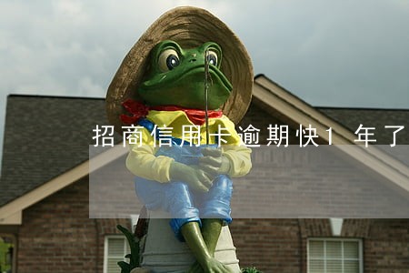 招商信用卡逾期快1年了 招商信用卡逾期快1年了