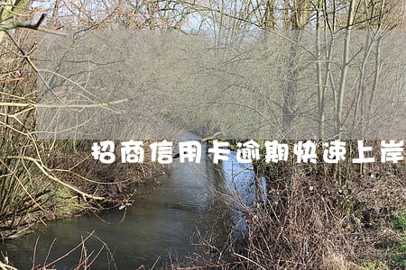 招商信用卡逾期快速上岸 招商信用卡逾期快速上岸