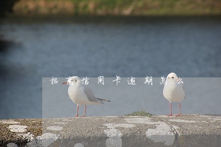 招商信用卡逾期怎么 招商信用卡逾期怎么