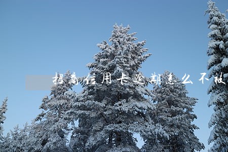 招商信用卡逾期怎么不被秒扣款 招商信用卡逾期怎么不被秒扣款