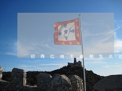 招商信用卡逾期怎么处罚