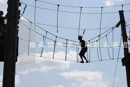招商信用卡逾期怎么延迟还款 招商信用卡逾期怎么延迟还款