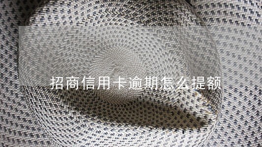 招商信用卡逾期怎么提额 招商信用卡逾期怎么提额