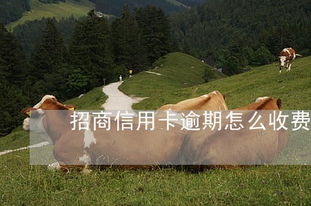 招商信用卡逾期怎么收费 招商信用卡逾期怎么收费