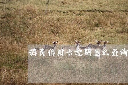 招商信用卡逾期怎么查询 招商信用卡逾期怎么查询