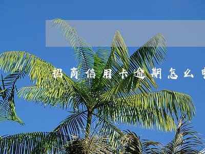 招商信用卡逾期怎么申请停息 招商信用卡逾期怎么申请停息