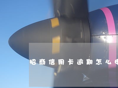 招商信用卡逾期怎么申请分期 招商信用卡逾期怎么申请分期
