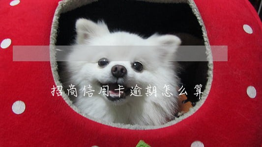 招商信用卡逾期怎么算