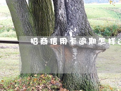 招商信用卡逾期怎样还款