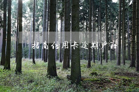 招商信用卡逾期户籍 招商信用卡逾期户籍