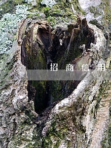 招商信用卡逾期打村委会电话 招商信用卡逾期打村委会电话
