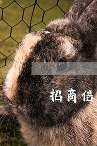 招商信用卡逾期打电话通知了 招商信用卡逾期打电话通知了
