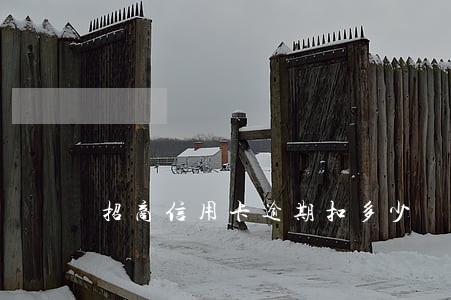 招商信用卡逾期扣多少